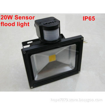 Waterproof IP65 20W Security Flood Light